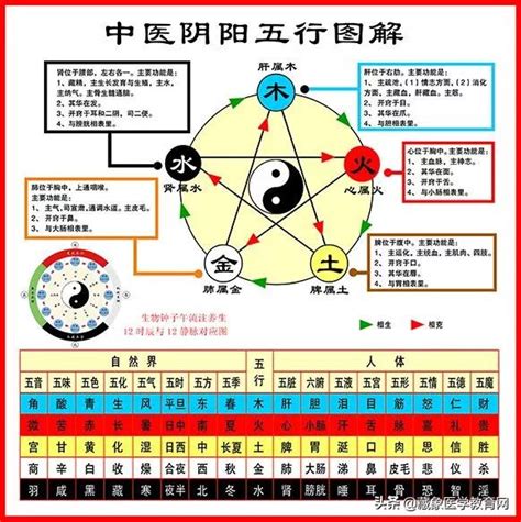 中醫五行歸類表|中醫五行學說考點匯總：五行歸類表及五行關係